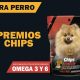 Premios Chips